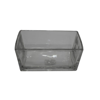 Rectangular Glass Vase