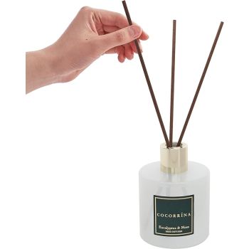 Scented Diffuser with Sticks